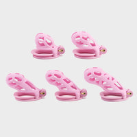 The full range of pink color cobra chastity cages.