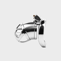a small steel chastity cage that locks a mans dick