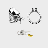 The steel components of a short male chastity cage.