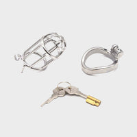 Freedom Beckons Steel Chastity Cage
