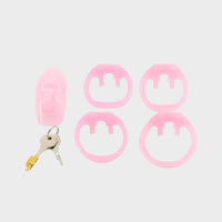 Holy Trainer V4 Nano Pink