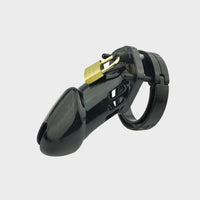 This black chastity device comes with a variety of sized rings and locks securely