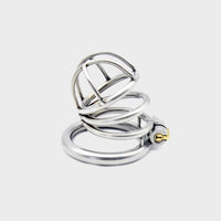 a locked chastity cage