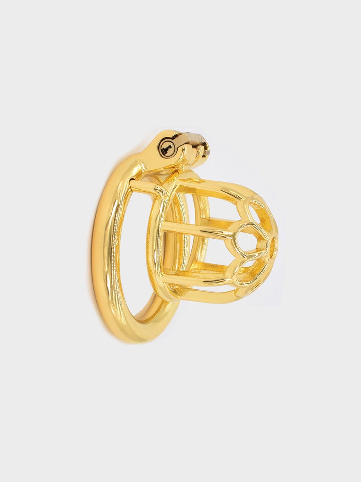 Gold Chastity Cages