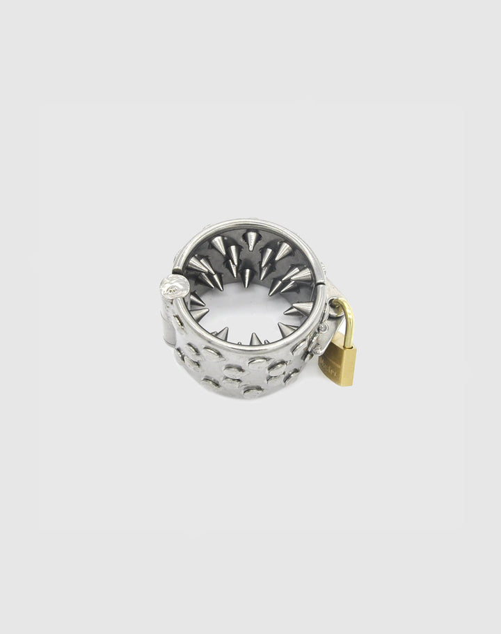 A cock ring with added spikes and a lock to ensure the wearer cannot remove it.  This is available along with male chastity devices at Chastity Cages Co.