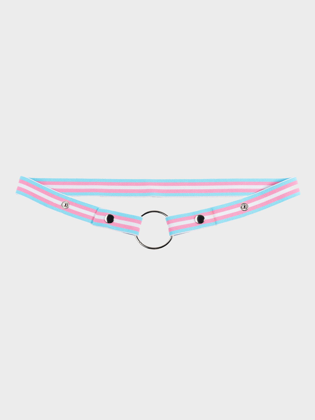 Pride Chastity Belt