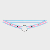 Pride Chastity Belt