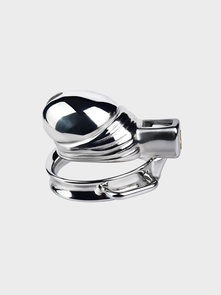 steel chastity cage for BDSM play