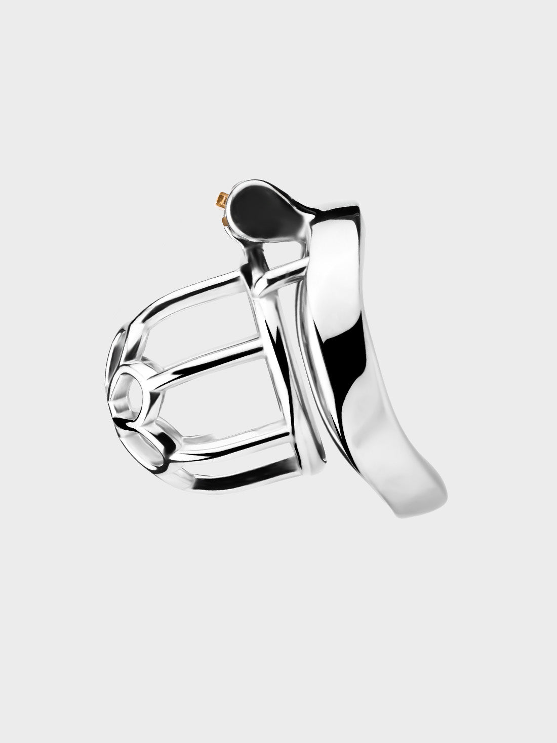 2-inch stainless steel chastity cage.