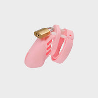 CB6000S Small Silicone Cage