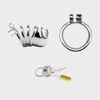 Set of steel chastity cage components including a lock body, key, and additional parts on a white background.