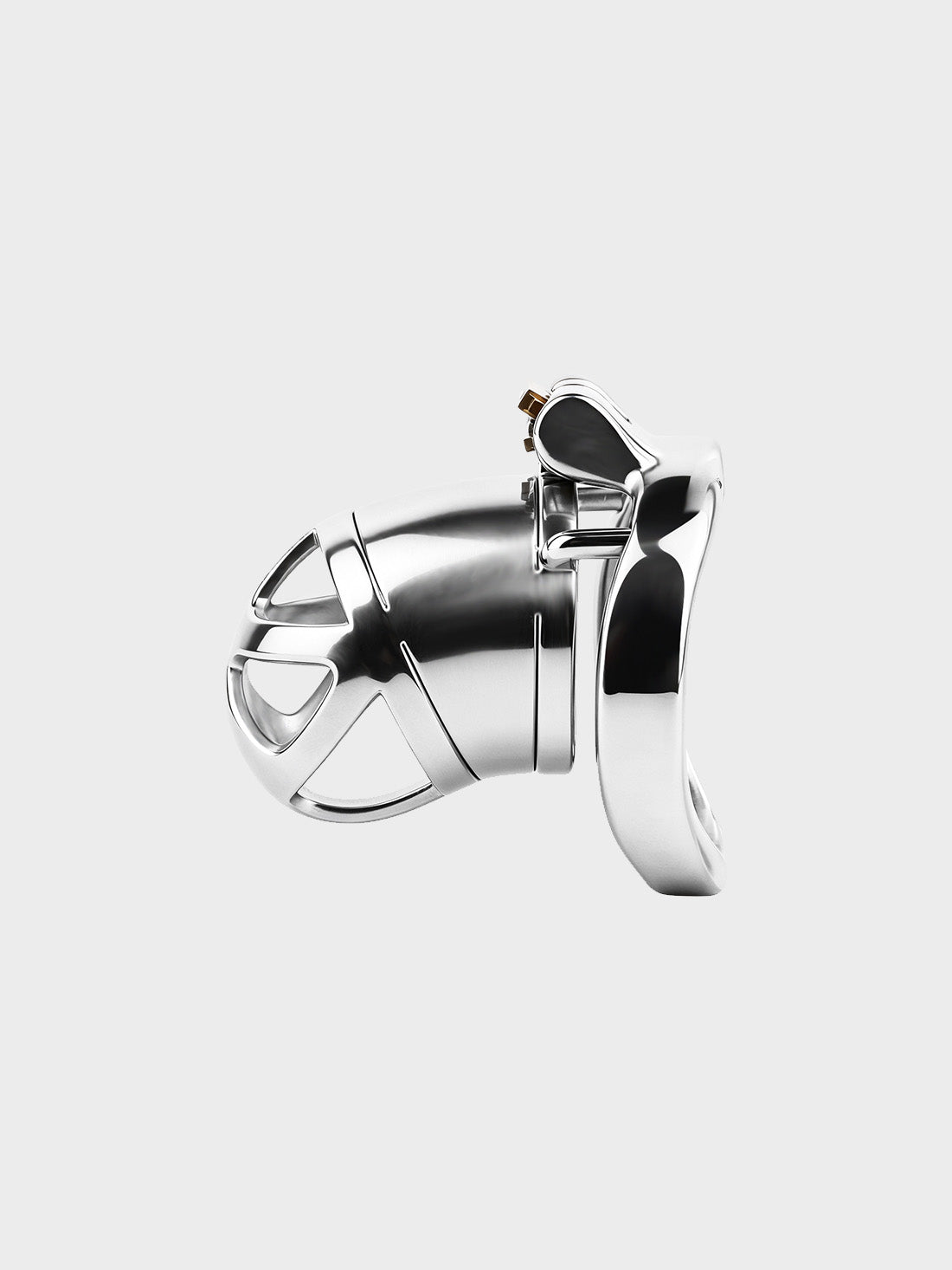 a small steel chastity cage that locks a mans dick