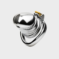 Realistic steel depiction of a penis.