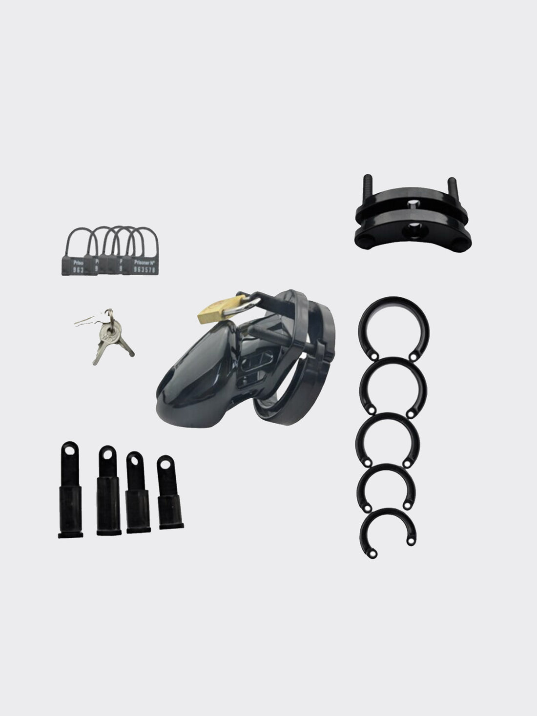 All the parts of a plastic chastity cage that fits onto your body then locks