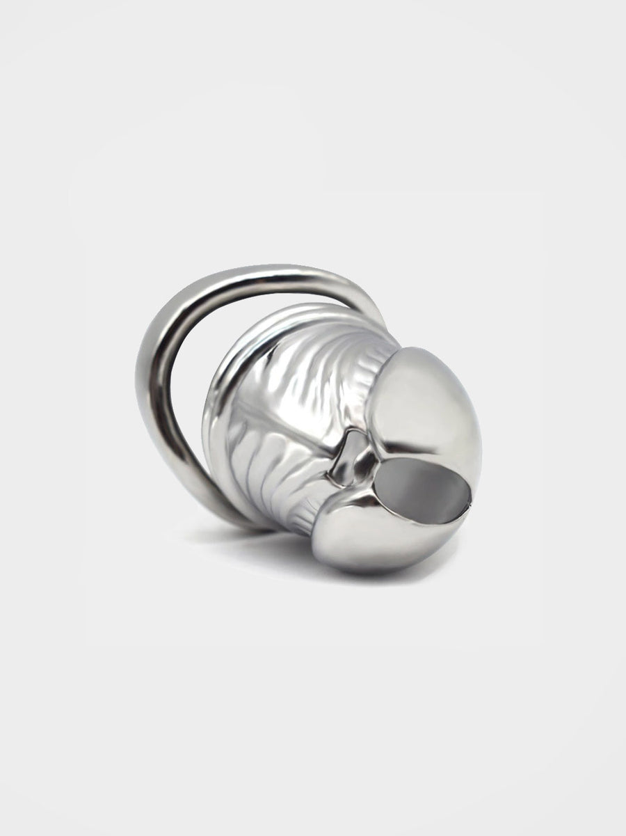 The latest cage from chastity cages co is a realistic steel moulded penis